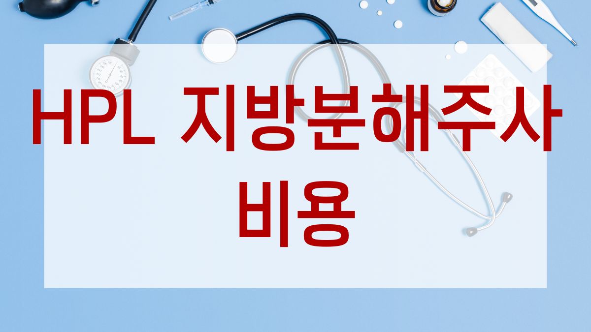 HPL 지방분해주사 비용