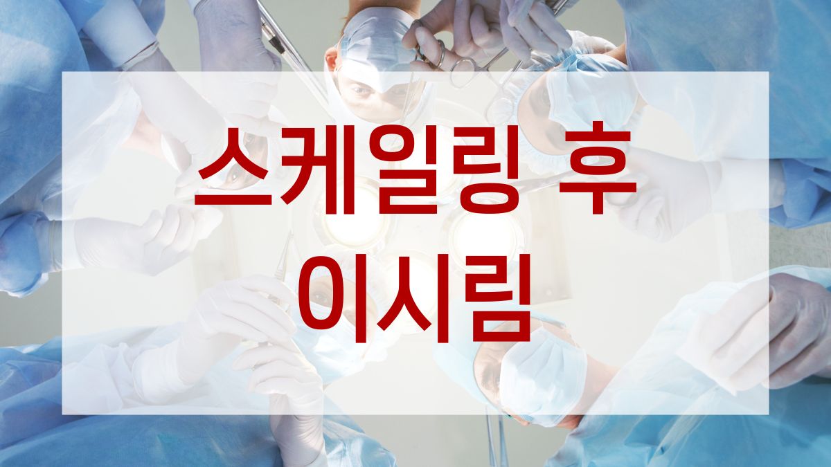 스케일링 후 이시림