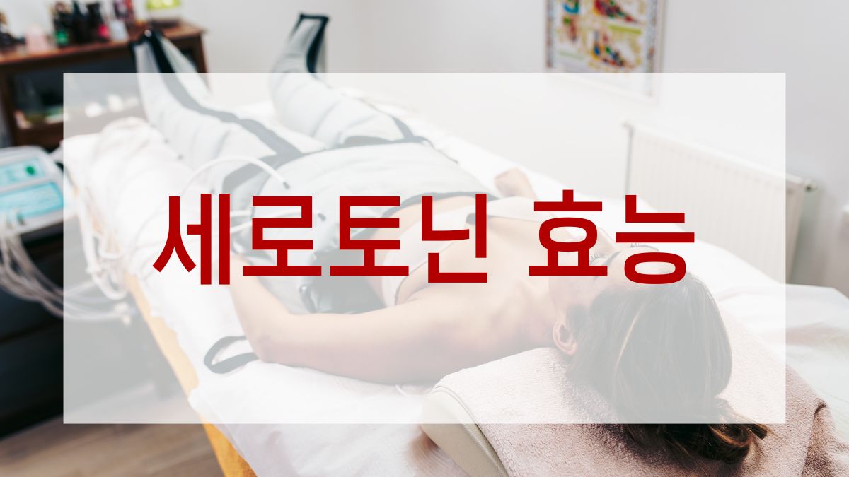 세로토닌 효능