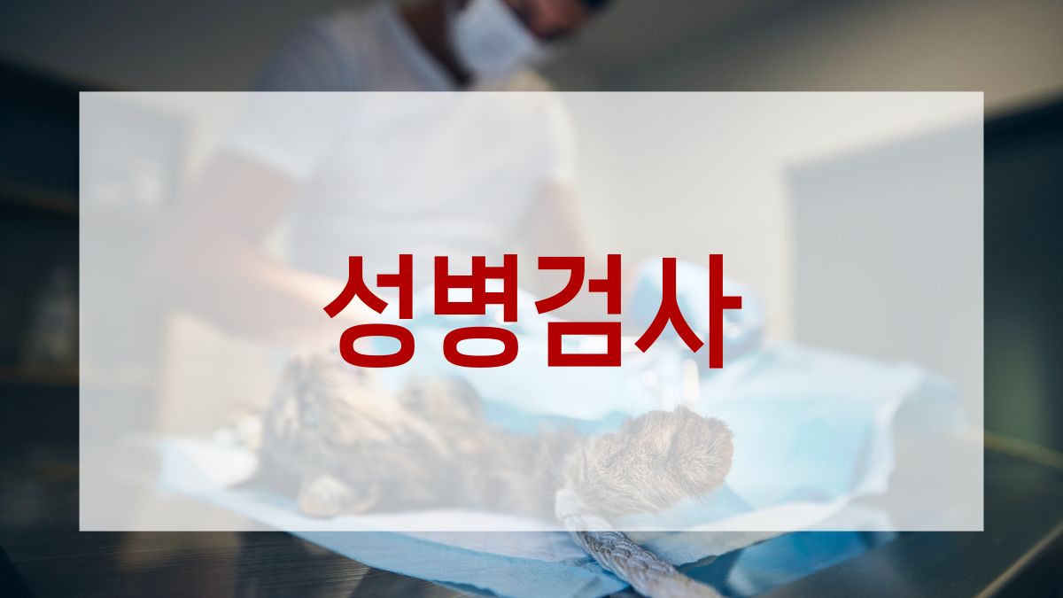 성병검사