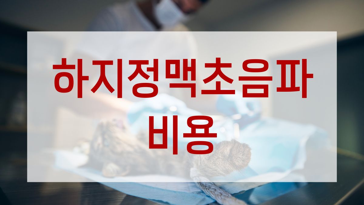 하지정맥초음파 비용