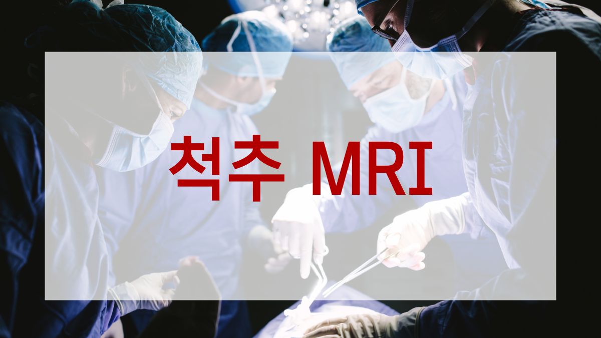 척추 MRI