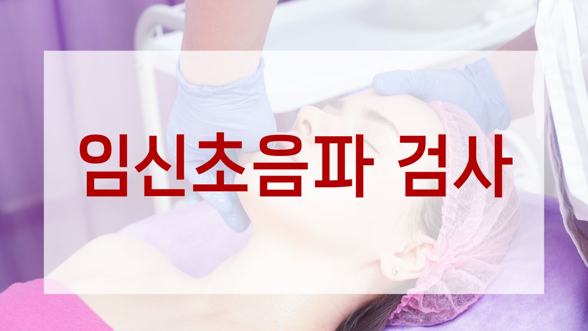 임신초음파